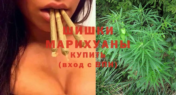 прущий лед Корсаков