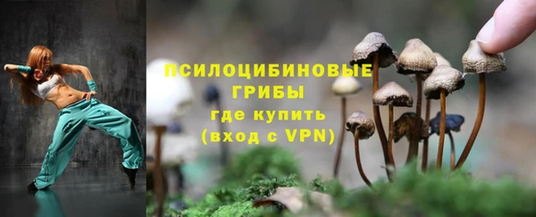 бутират Костерёво
