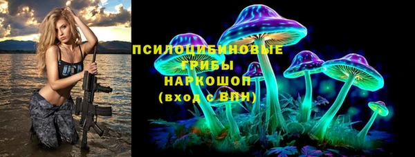 ГАЛЛЮЦИНОГЕННЫЕ ГРИБЫ Козельск
