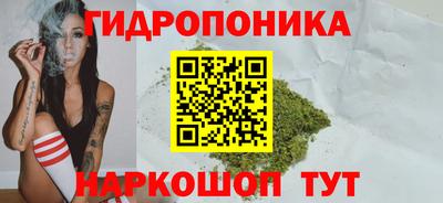синтетический гашиш Кингисепп