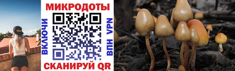 Псилоцибиновые грибы прущие грибы  Люберцы 
