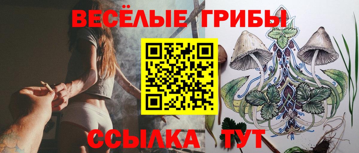 Галлюциногенные грибы GOLDEN TEACHER Люберцы